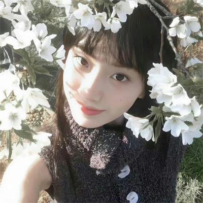 少年同盟第二季